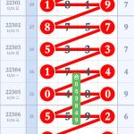 22308期路过客路预测图1