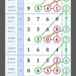 24244期碼赢预测图1